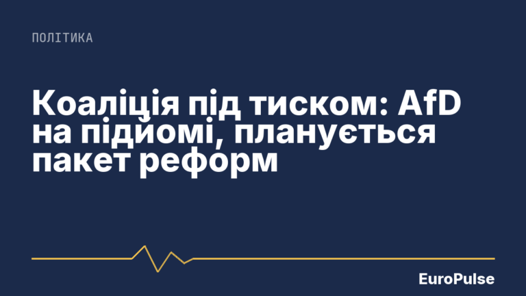 Коаліція під тиском: AfD на підйомі, планується пакет реформ