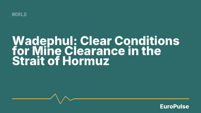 Wadephul: Clear Conditions for Mine Clearance in the Strait of Hormuz