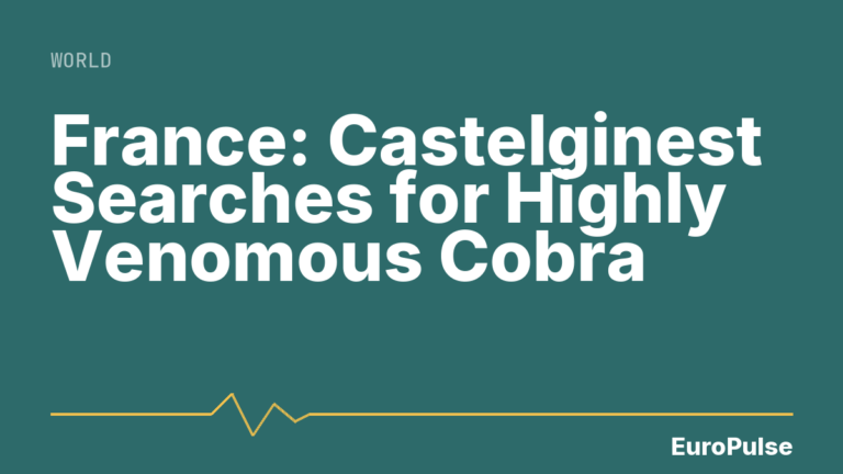 France: Castelginest Searches for Highly Venomous Cobra