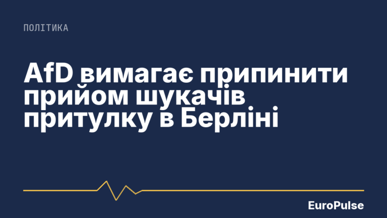 AfD вимагає припинити прийом шукачів притулку в Берліні