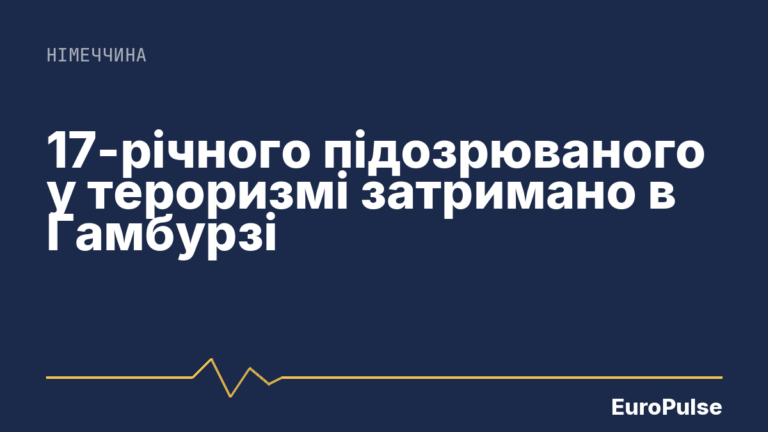 17-річного підозрюваного у тероризмі затримано в Гамбурзі