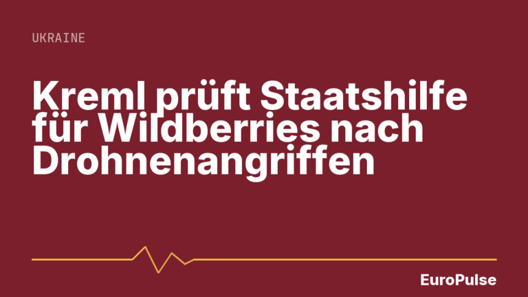 Kreml prüft Staatshilfe für Wildberries nach Drohnenangriffen