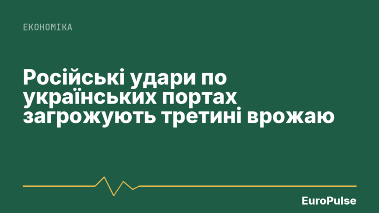 Російські удари по українських портах загрожують третині врожаю