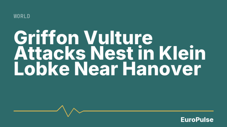 Griffon Vulture Attacks Nest in Klein Lobke Near Hanover