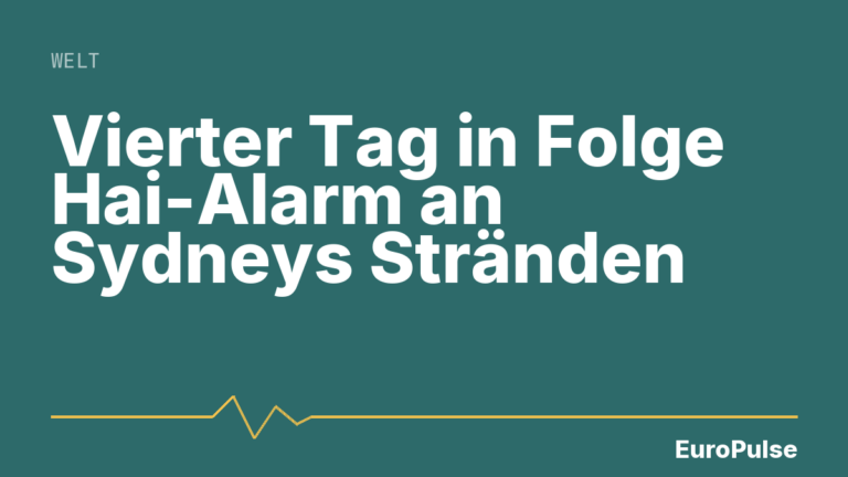 Vierter Tag in Folge Hai-Alarm an Sydneys Stränden