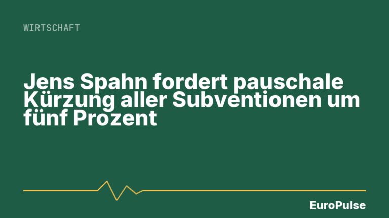 Jens Spahn fordert pauschale Kürzung aller Subventionen um fünf Prozent