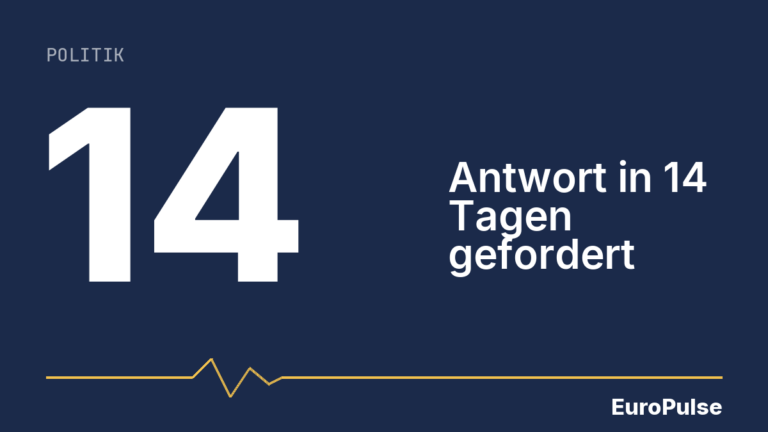 Migrantenverbände fordern Schutz vor AfD-Regierung in Sachsen-Anhalt