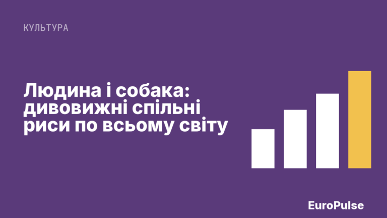 Людина і собака: дивовижні спільні риси по всьому світу