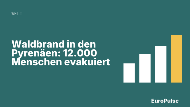 Waldbrand in den Pyrenäen: 12.000 Menschen evakuiert