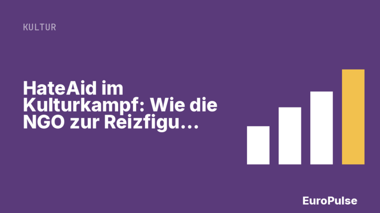 HateAid im Kulturkampf: Wie die NGO zur Reizfigur wurde